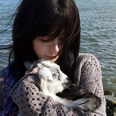 深海鲨机 海报